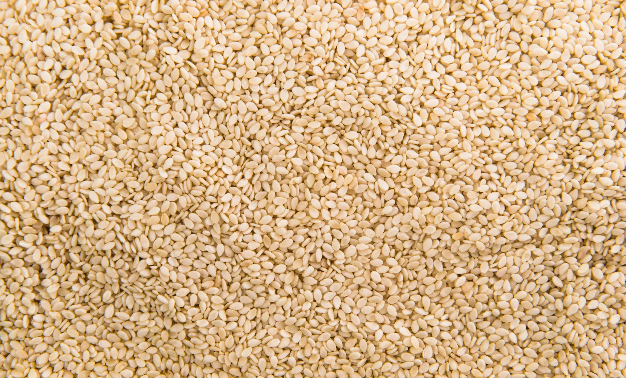 Sesame Seeds